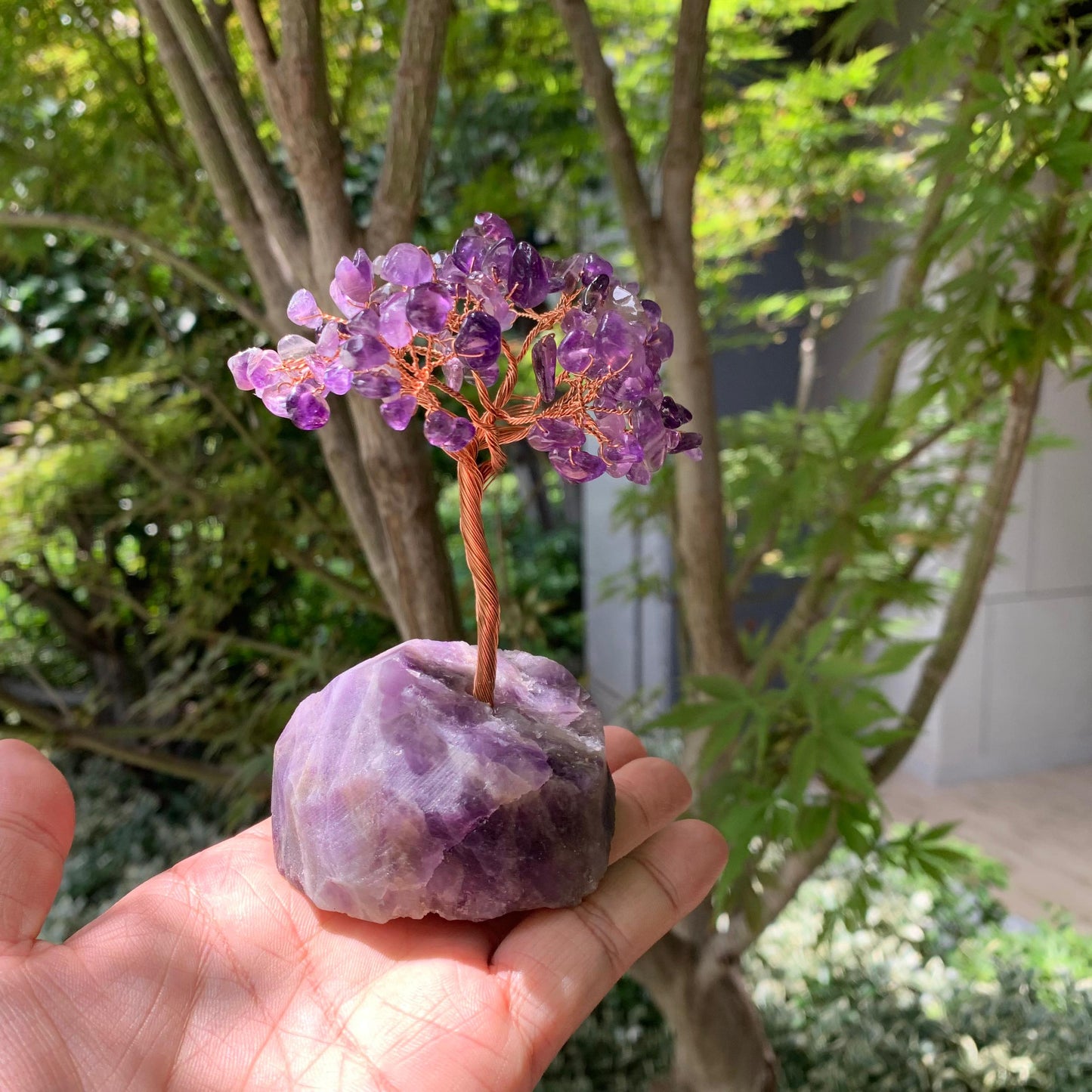 Ametiszt Fa