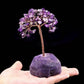 Ametiszt Fa